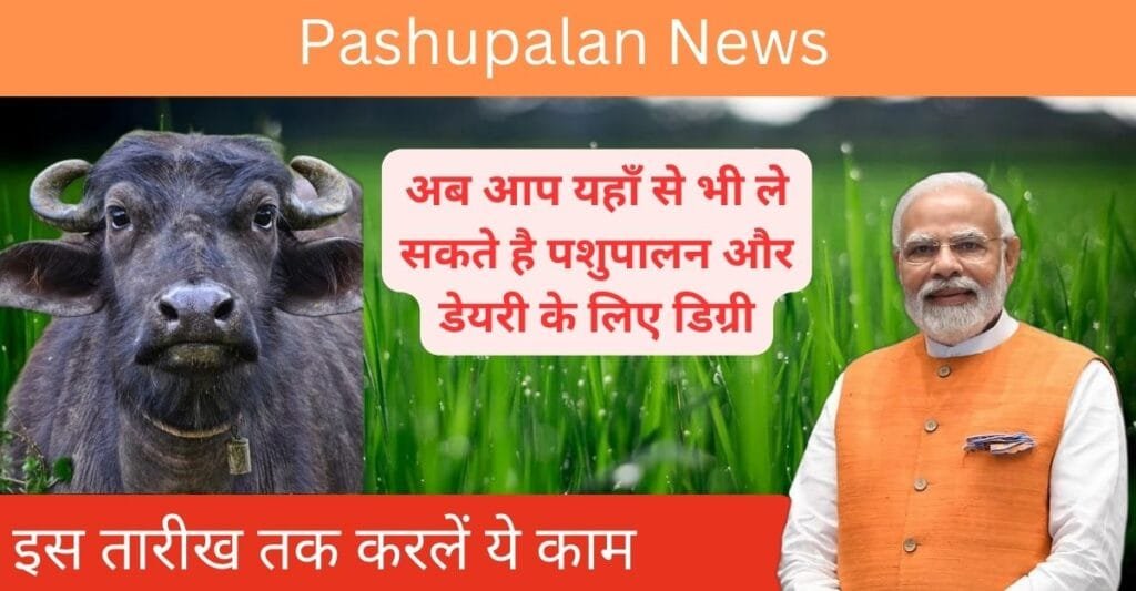 Pashupalan News